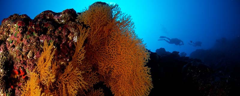 La Faille d’Arue, Tahiti